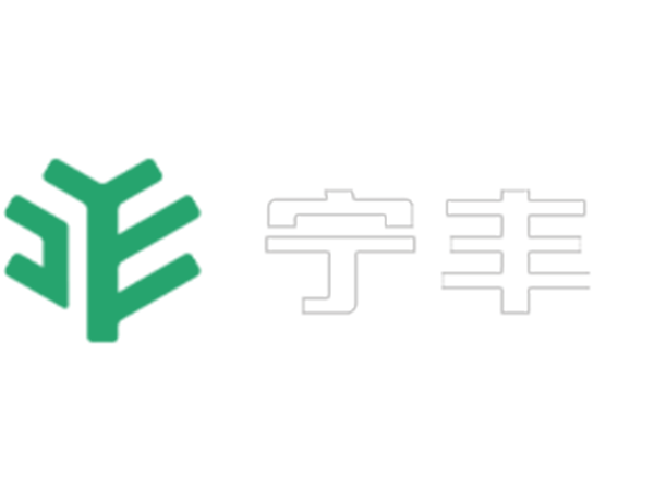 《湖北宁丰新材科技有限公司改扩建项目环境影响报告书》报批前公示